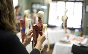 Anatomy-in-3D-3