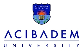 AcibademUniversitesiENLogo2